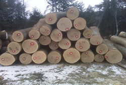 hardlog1