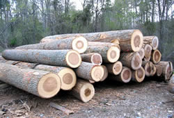 hardlog4