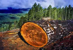 softlog2