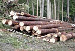 softlog3