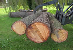 softlog7
